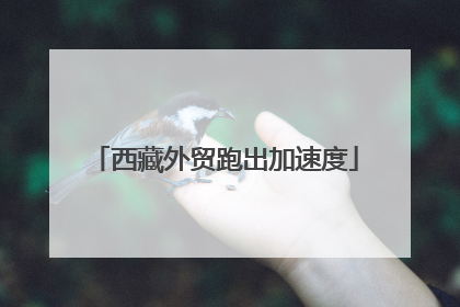 西藏外贸跑出加速度