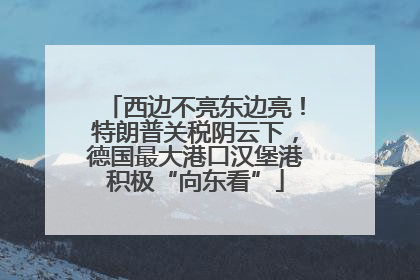 西边不亮东边亮！特朗普关税阴云下，德国最大港口汉堡港积极“向东看”