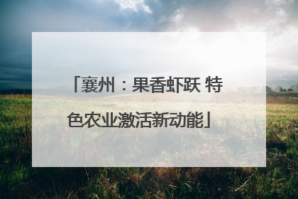 襄州：果香虾跃 特色农业激活新动能