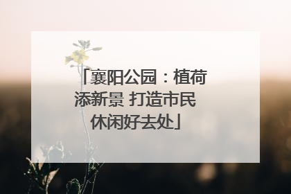 襄阳公园：植荷添新景 打造市民休闲好去处