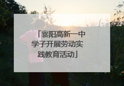 襄阳高新一中学子开展劳动实践教育活动