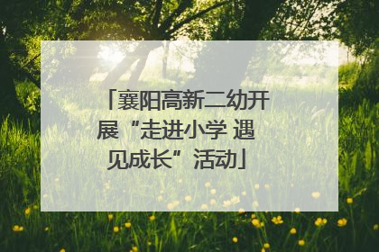 襄阳高新二幼开展“走进小学 遇见成长”活动