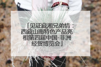 见证藏湘兄弟情：西藏山南特色产品亮相第四届中国-非洲经贸博览会