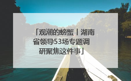 观潮的螃蟹丨湖南省领导53场专题调研聚焦这件事
