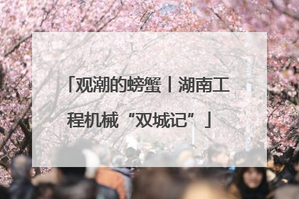 观潮的螃蟹丨湖南工程机械“双城记”