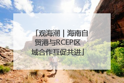 观海潮｜海南自贸港与RCEP区域合作互促共进