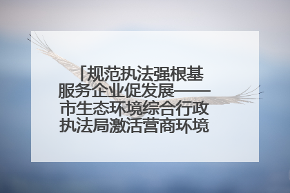 规范执法强根基 服务企业促发展——市生态环境综合行政执法局激活营商环境“绿色动能”