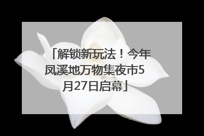 解锁新玩法！今年凤溪地万物集夜市5月27日启幕