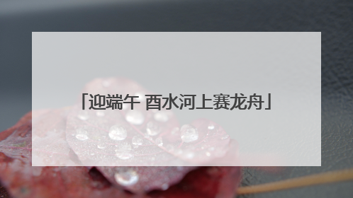 迎端午 酉水河上赛龙舟