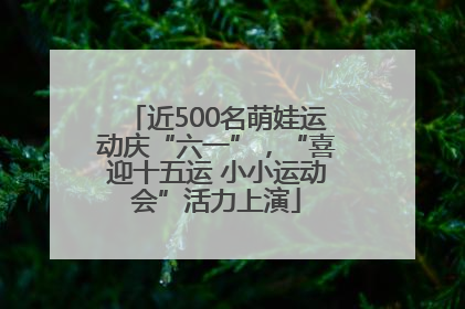 近500名萌娃运动庆“六一”，“喜迎十五运 小小运动会”活力上演