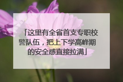 这里有全省首支专职校警队伍，把上下学高峰期的安全感直接拉满