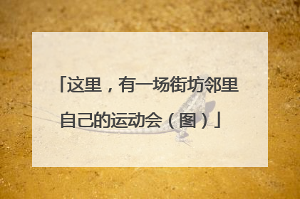 这里，有一场街坊邻里自己的运动会（图）