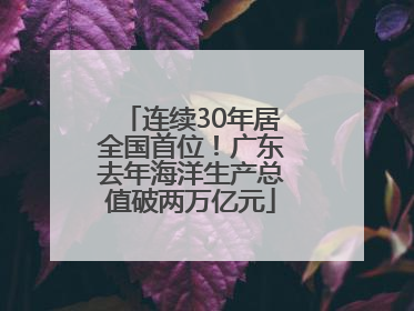 连续30年居全国首位！广东去年海洋生产总值破两万亿元