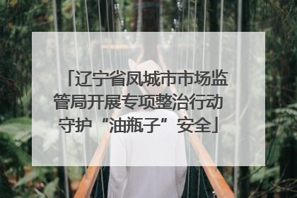 辽宁省凤城市市场监管局开展专项整治行动守护“油瓶子”安全