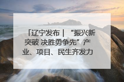 辽宁发布｜“振兴新突破 决胜勇争先”产业、项目、民生齐发力 葫芦岛按下决胜之年“加速键”