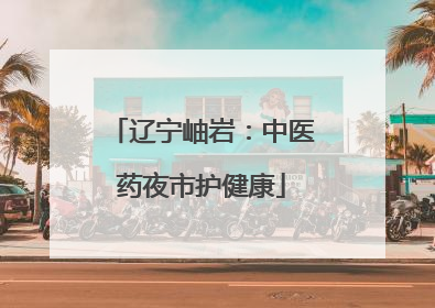 辽宁岫岩：中医药夜市护健康