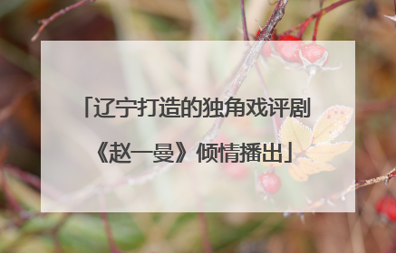 辽宁打造的独角戏评剧《赵一曼》倾情播出