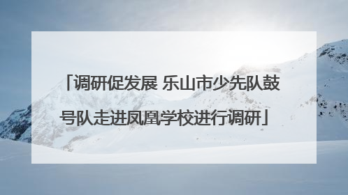 调研促发展 乐山市少先队鼓号队走进凤凰学校进行调研