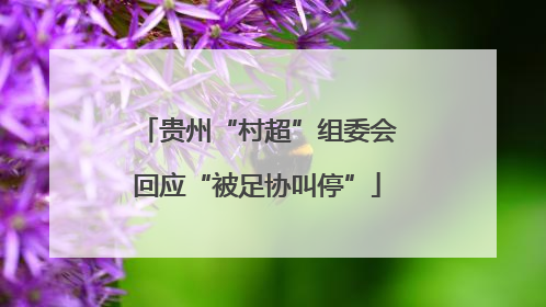 贵州“村超”组委会回应“被足协叫停”