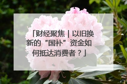 财经聚焦｜以旧换新的“国补”资金如何抵达消费者？
