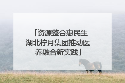 资源整合惠民生 湖北柠月集团推动医养融合新实践