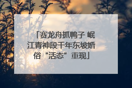 赛龙舟抓鸭子 岷江青神段千年东坡婚俗“活态”重现