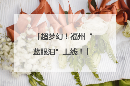 超梦幻！福州“蓝眼泪”上线！