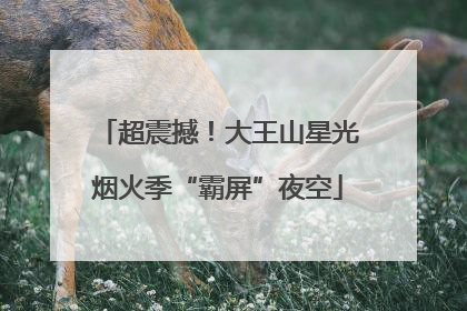 超震撼！大王山星光烟火季“霸屏”夜空