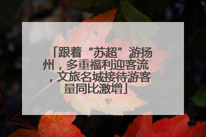 跟着“苏超”游扬州，多重福利迎客流，文旅名城接待游客量同比激增