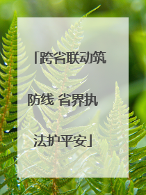 跨省联动筑防线 省界执法护平安