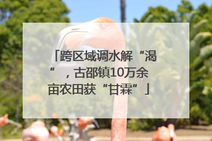 跨区域调水解“渴”，古邵镇10万余亩农田获“甘霖”
