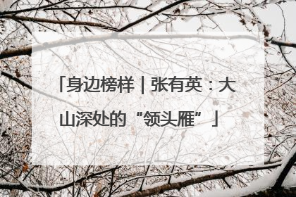 身边榜样｜张有英：大山深处的“领头雁”