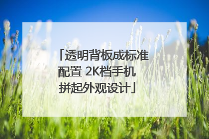 透明背板成标准配置 2K档手机拼起外观设计