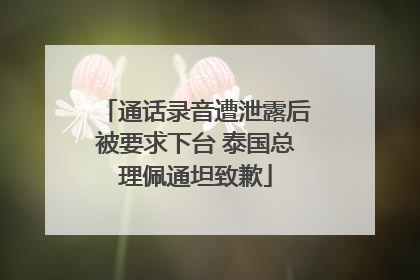 通话录音遭泄露后被要求下台 泰国总理佩通坦致歉