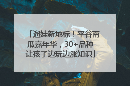 遛娃新地标！平谷南瓜嘉年华，30+品种让孩子边玩边涨知识