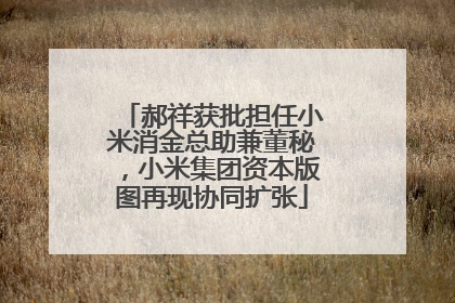 郝祥获批担任小米消金总助兼董秘，小米集团资本版图再现协同扩张