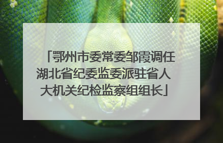 鄂州市委常委邹霞调任湖北省纪委监委派驻省人大机关纪检监察组组长