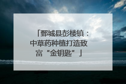 鄄城县彭楼镇：中草药种植打造致富“金钥匙”