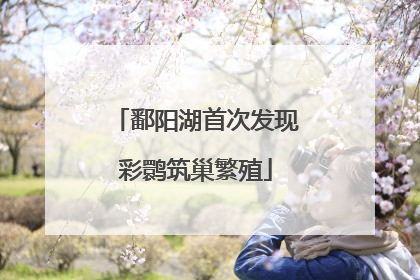 鄱阳湖首次发现彩鹮筑巢繁殖