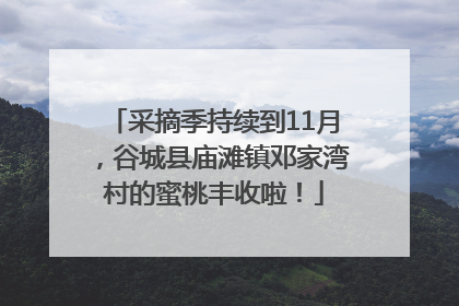 采摘季持续到11月，谷城县庙滩镇邓家湾村的蜜桃丰收啦！