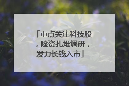 重点关注科技股，险资扎堆调研，发力长钱入市