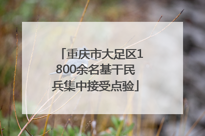重庆市大足区1800余名基干民兵集中接受点验