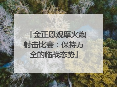 金正恩观摩火炮射击比赛：保持万全的临战态势