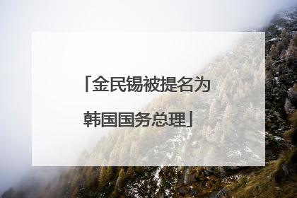 金民锡被提名为韩国国务总理