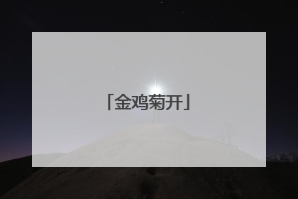 金鸡菊开
