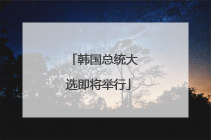 韩国总统大选即将举行