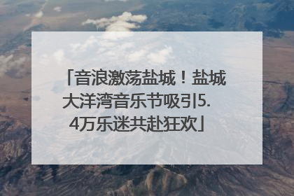 音浪激荡盐城！盐城大洋湾音乐节吸引5.4万乐迷共赴狂欢
