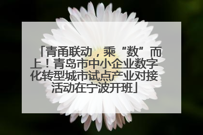 青甬联动，乘“数”而上！青岛市中小企业数字化转型城市试点产业对接活动在宁波开班