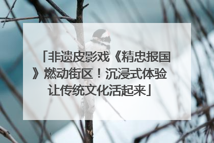 非遗皮影戏《精忠报国》燃动街区！沉浸式体验让传统文化活起来