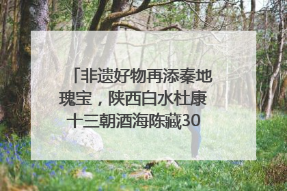 非遗好物再添秦地瑰宝，陕西白水杜康十三朝酒海陈藏30年别具一格